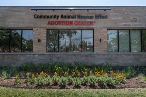 Building Sign Front View