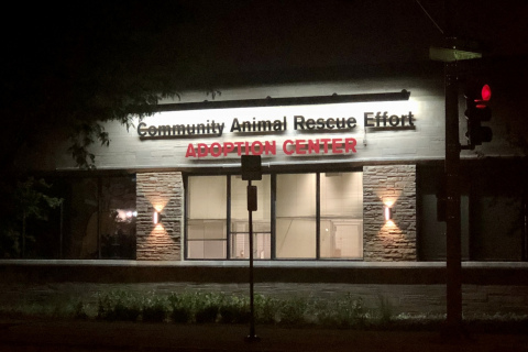 Building Sign Night View