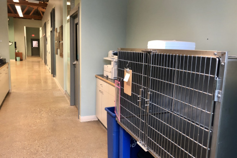 Small Dog Cages