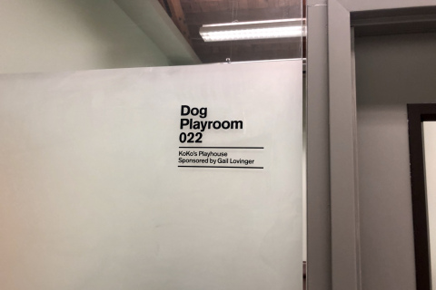 Dog Play Room