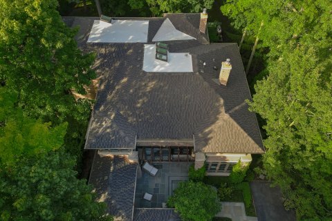aerial