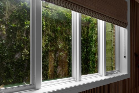 window well greenery