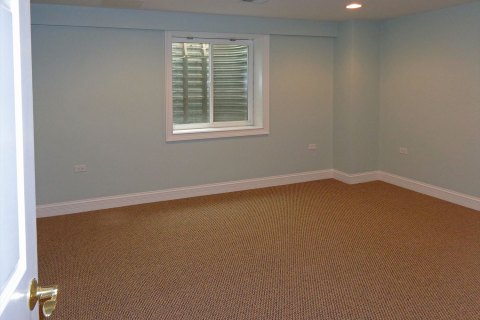 Basement-Office